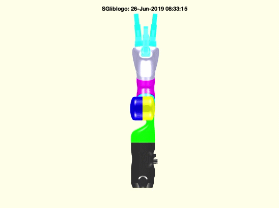 2019-06-26 SG-Lib Jaco Move